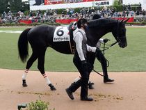 ����å��ǳ��������ɽ�����ޤ�