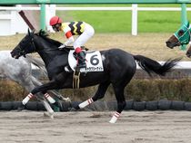 ����å��ǳ��������ɽ�����ޤ�