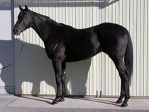 ����å��ǳ��������ɽ�����ޤ�