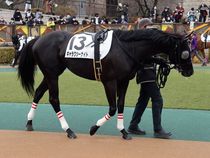 ����å��ǳ��������ɽ�����ޤ�