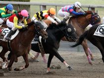 ����å��ǳ��������ɽ�����ޤ�