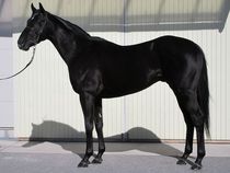 ����å��ǳ��������ɽ�����ޤ�