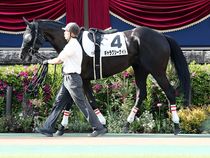 ����å��ǳ��������ɽ�����ޤ�