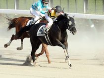 ����å��ǳ��������ɽ�����ޤ�