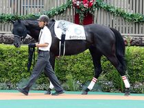 ����å��ǳ��������ɽ�����ޤ�