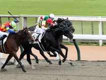 ����å��ǳ��������ɽ�����ޤ�