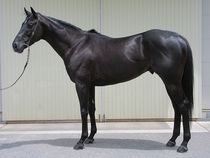 ����å��ǳ��������ɽ�����ޤ�