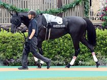 ����å��ǳ��������ɽ�����ޤ�