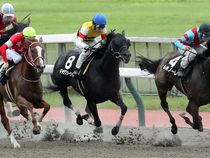 ����å��ǳ��������ɽ�����ޤ�