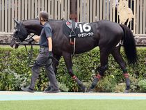 ����å��ǳ��������ɽ�����ޤ�