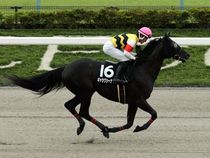 ����å��ǳ��������ɽ�����ޤ�