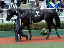 ����å��ǳ��������ɽ�����ޤ�