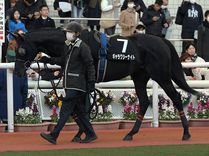 ����å��ǳ��������ɽ�����ޤ�