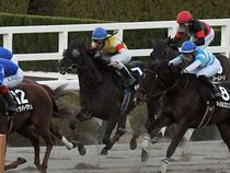 ����å��ǳ��������ɽ�����ޤ�