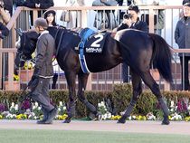 ����å��ǳ��������ɽ�����ޤ�