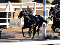 ����å��ǳ��������ɽ�����ޤ�