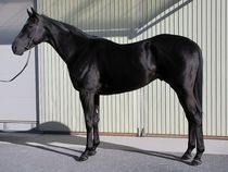 ����å��ǳ��������ɽ�����ޤ�