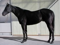 ����å��ǳ��������ɽ�����ޤ�