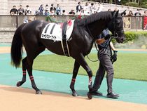 ����å��ǳ��������ɽ�����ޤ�