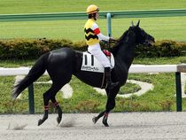 ����å��ǳ��������ɽ�����ޤ�