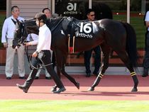 ����å��ǳ��������ɽ�����ޤ�