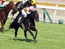 ����å��ǳ��������ɽ�����ޤ�