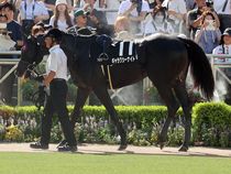 ����å��ǳ��������ɽ�����ޤ�