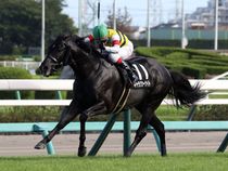 ����å��ǳ��������ɽ�����ޤ�