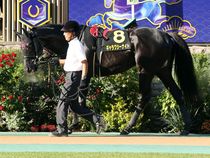 ����å��ǳ��������ɽ�����ޤ�