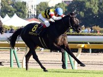 ����å��ǳ��������ɽ�����ޤ�