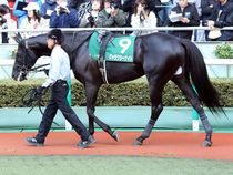 ����å��ǳ��������ɽ�����ޤ�