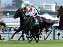 ����å��ǳ��������ɽ�����ޤ�