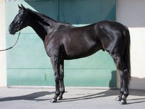 ����å��ǳ��������ɽ�����ޤ�