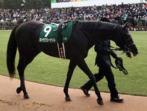 ����å��ǳ��������ɽ�����ޤ�