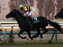 ����å��ǳ��������ɽ�����ޤ�