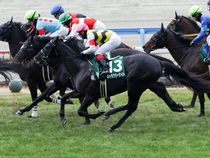 ����å��ǳ��������ɽ�����ޤ�