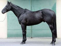 ����å��ǳ��������ɽ�����ޤ�