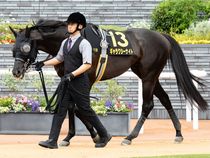 ����å��ǳ��������ɽ�����ޤ�