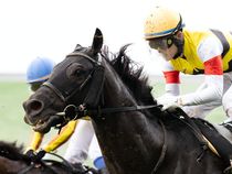 ����å��ǳ��������ɽ�����ޤ�