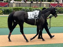 ����å��ǳ��������ɽ�����ޤ�