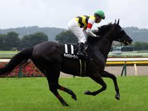 ����å��ǳ��������ɽ�����ޤ�