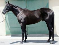 ����å��ǳ��������ɽ�����ޤ�