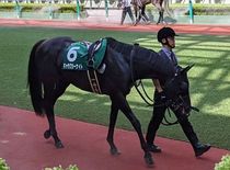 ����å��ǳ��������ɽ�����ޤ�