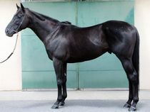 ����å��ǳ��������ɽ�����ޤ�