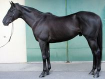 ����å��ǳ��������ɽ�����ޤ�