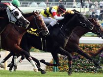 ����å��ǳ��������ɽ�����ޤ�