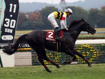 ����å��ǳ��������ɽ�����ޤ�