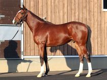 ����å��ǳ��������ɽ�����ޤ�