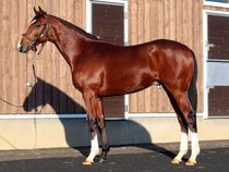 ����å��ǳ��������ɽ�����ޤ�