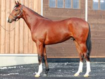 ����å��ǳ��������ɽ�����ޤ�